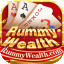 rummy mastar icon